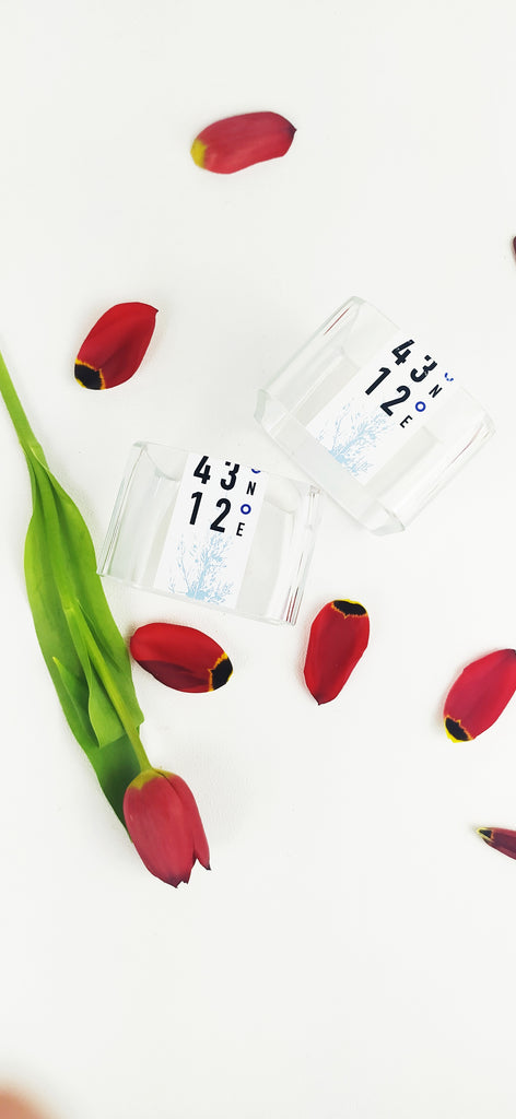 Coppapasta gin - Bottleeden